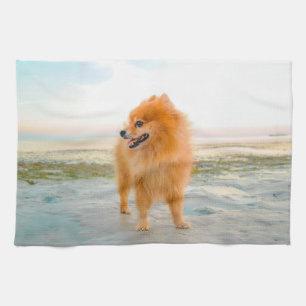 Söt orange pomeranian på sandstrand kökshandduk