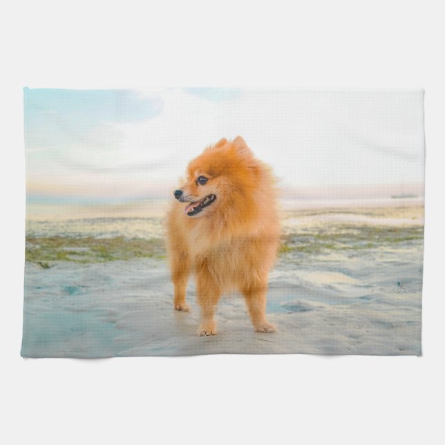 Söt orange pomeranian på sandstrand kökshandduk (Horisontell)