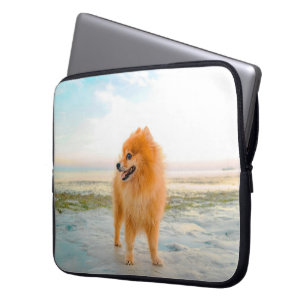 Söt orange pomeranian på stranden laptop sleeve