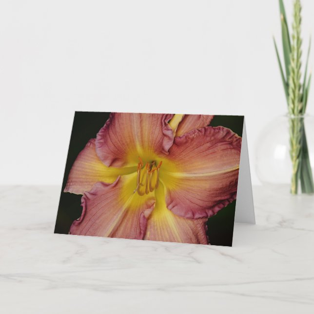 Söt Orange Red Lily Flower Note Card Kort (Framsida)
