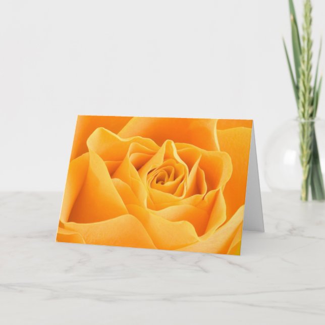 Söt Orange Ro Hälsning-kort Kort (Framsida)