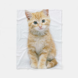 Söt orange Tabby Fleecefilt