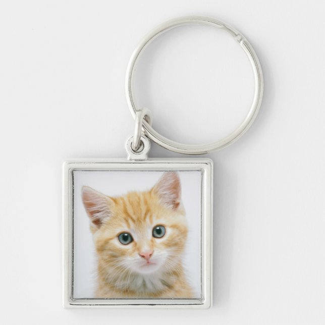 Söt orange Tabby Fyrkantig Silverfärgad Nyckelring (Framsidan)