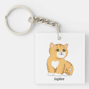 Söt orange tabby kattunge katt