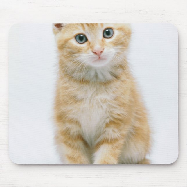 Söt orange Tabby Musmatta (Framsidan)