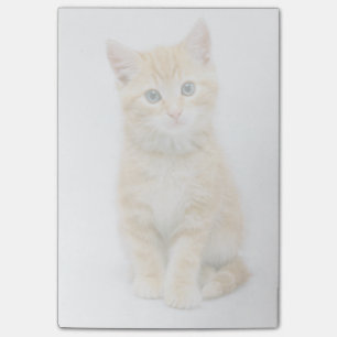Söt Orange Tabby Post-it Block
