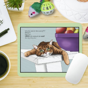 Söt orange tabby Söta gods Roligt väntar Musmatta