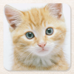 Söt orange Tabby Underlägg Papper Kvadrat