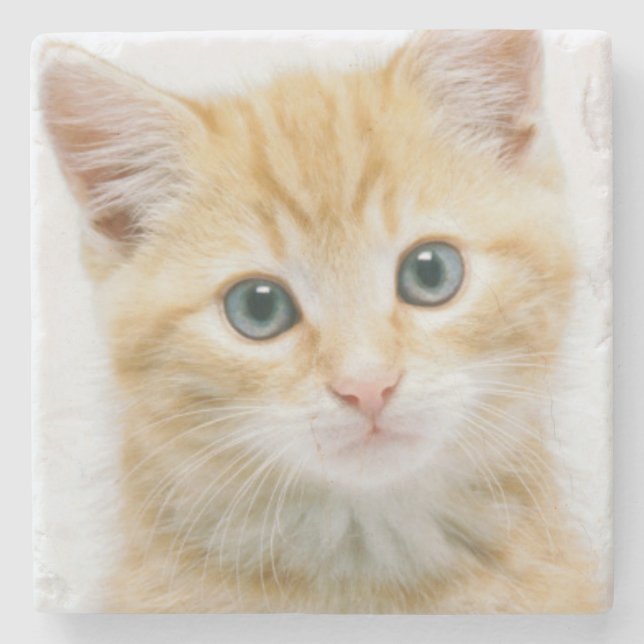 Söt orange Tabby Underlägg Sten (Framsidan)