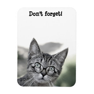 Söt överraskad katt med glasögonmagnet magnet