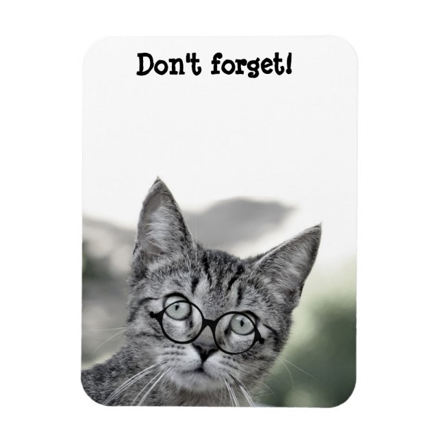 Söt överraskad katt med glasögonmagnet magnet (Vertikal)