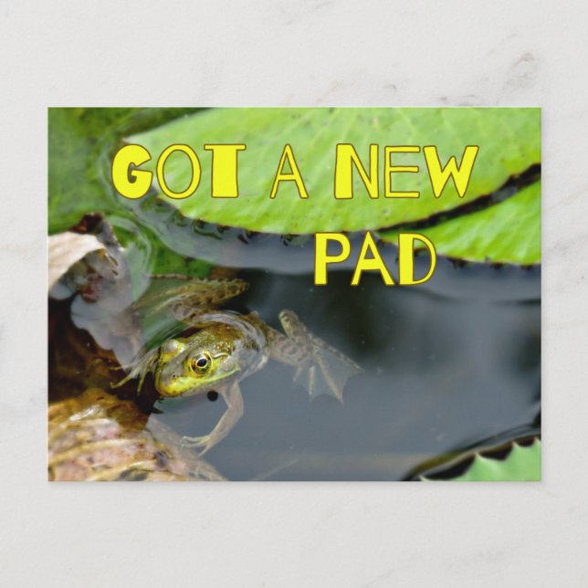 Söt paddan har ett nytt bo Paddan adressändring vy Meddelande Vykort (Framsida)