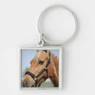 Söt Palomino Keychain Fyrkantig Silverfärgad Nyckelring