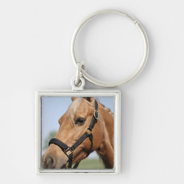 Söt Palomino Keychain Fyrkantig Silverfärgad Nyckelring (Framsidan)