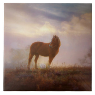 Söt Palomino Mustang Art Tile Kakelplatta
