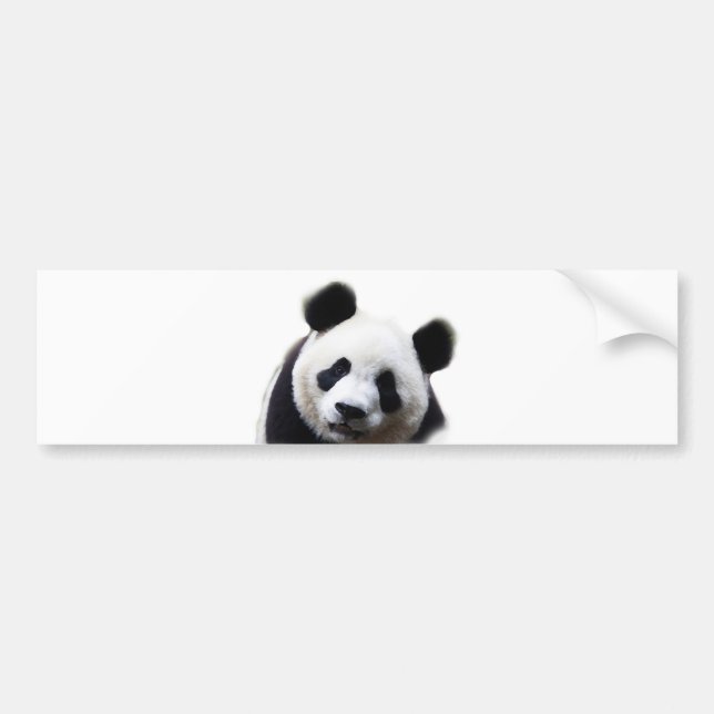 Söt Panda Artwork Bumper Sticker Bildekal (Framsidan)