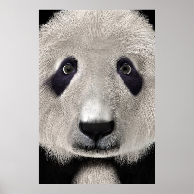 Söt Panda Björn Kawaii Djurälskare Perfekt Present Poster (Framsidan)