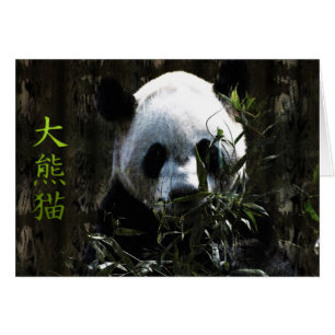 Söt Panda Björn med välsmakande Bambu Blad Hälsningskort