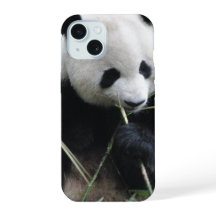 Söt Panda iPhone 15 Fodral