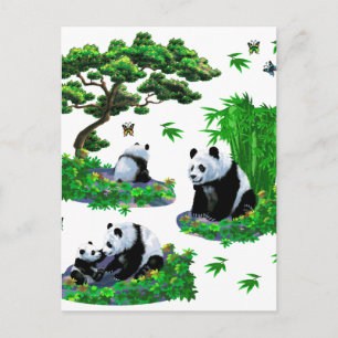 söt panda-Tecknad Vykort
