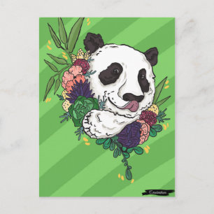 Söt Panda Vykort