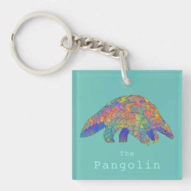 Söt pangolin färgrik illustration  (Framsidan)