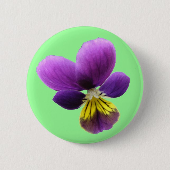 Söt Pansy-knapp Knapp (Framsida)