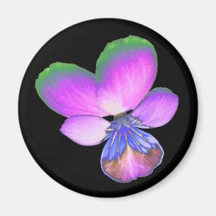 Söt Pansy Magnet