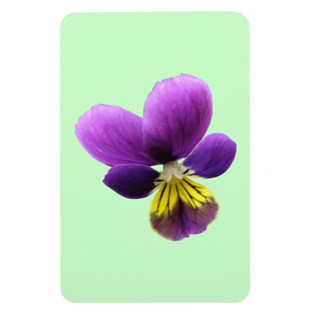 Söt Pansy Premium Magnet (Vertikal)