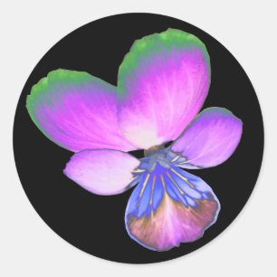 Söt Pansy Sticker Runt Klistermärke