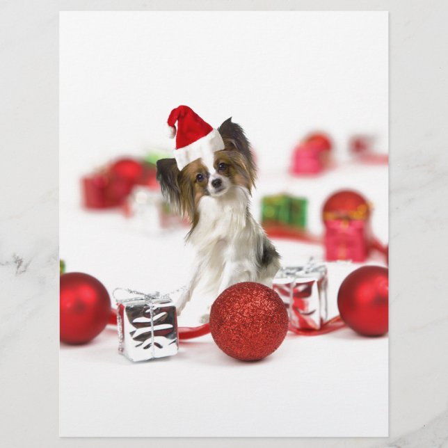 Söt Papillon Hund Jul Santa Hatt (Framsida)