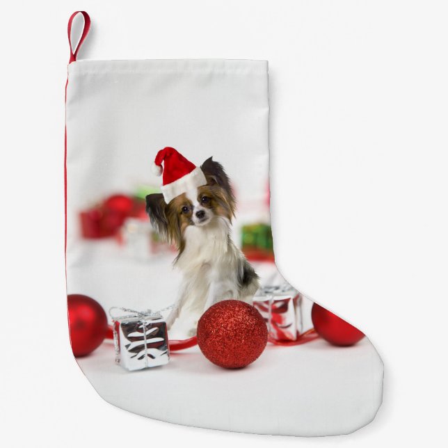 Söt Papillon Hund Jul Santa Hatt Liten Julstrumpa (Framsidan)