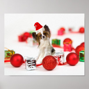 Söt Papillon Hund Jul Santa Hatt Poster