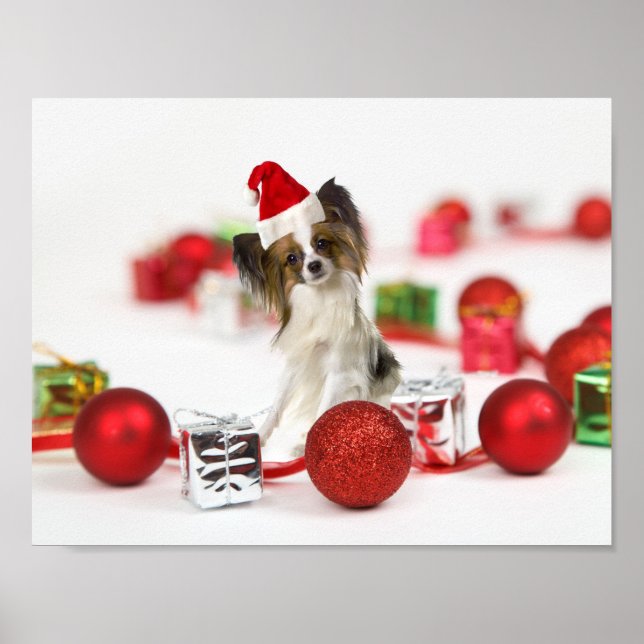 Söt Papillon Hund Jul Santa Hatt Poster (Framsidan)