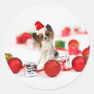 Söt Papillon Hund Jul Santa Hatt Runt Klistermärke