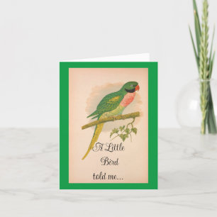 Söt Parrot Birthday Card Tack Kort