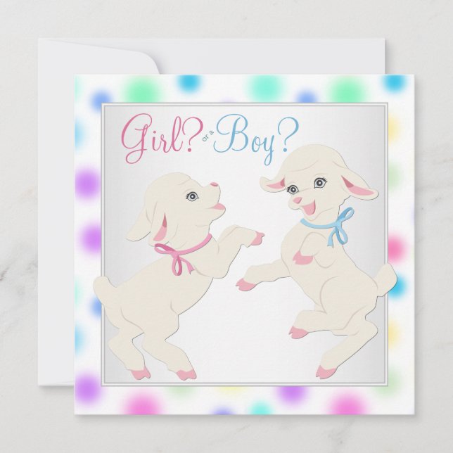 Söt Pastel Lamb Gender Reveal Inbjudningar (Framsida)