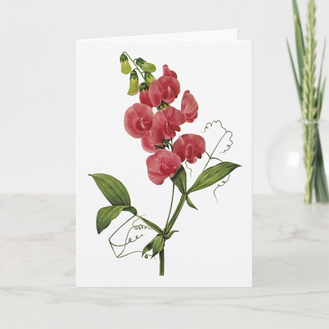 Söt Pea Watercolor Sympathy Card Kort (Framsida)