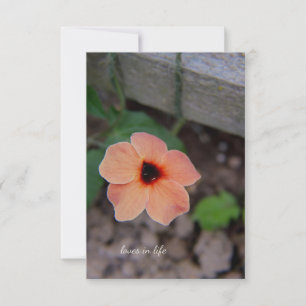 Söt Peach Garden Flower Anteckningskort