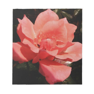 Söt Peach Rosa ros blommigt Anteckningsblock