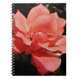 Söt Peach Rosa ros blommigt Anteckningsbok Med Spiral