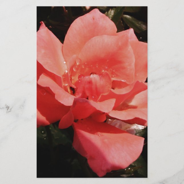 Söt Peach Rosa ros blommigt Brevpapper (Framsida)