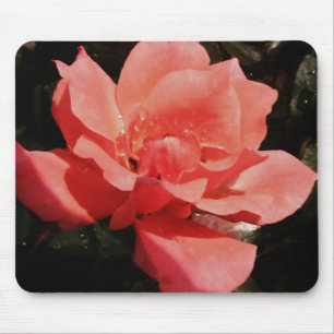 Söt Peach Rosa ros blommigt Musmatta