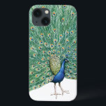 Söt Peacock<br><div class="desc">Söt vintage Fåglar av husdjur</div>