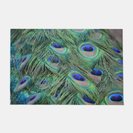 Söt Peacock Feathers