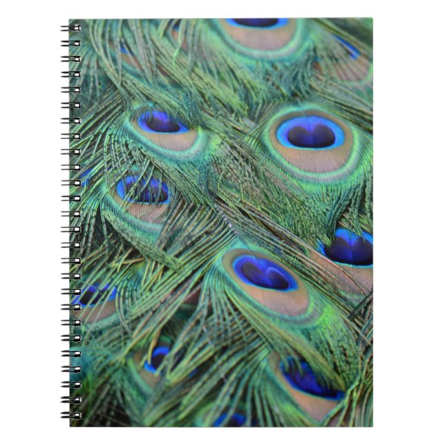 Söt Peacock Feathers Anteckningsbok (Framsidan)
