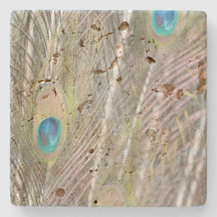 Söt Peacock Feathers Stenunderlägg