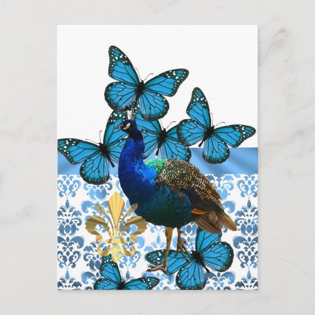 Söt Peacock och blå fjärilar Vykort (Framsida)