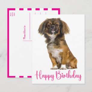 Söt Pekingese Födelsedags Valp Hund Födelsedag Vykort