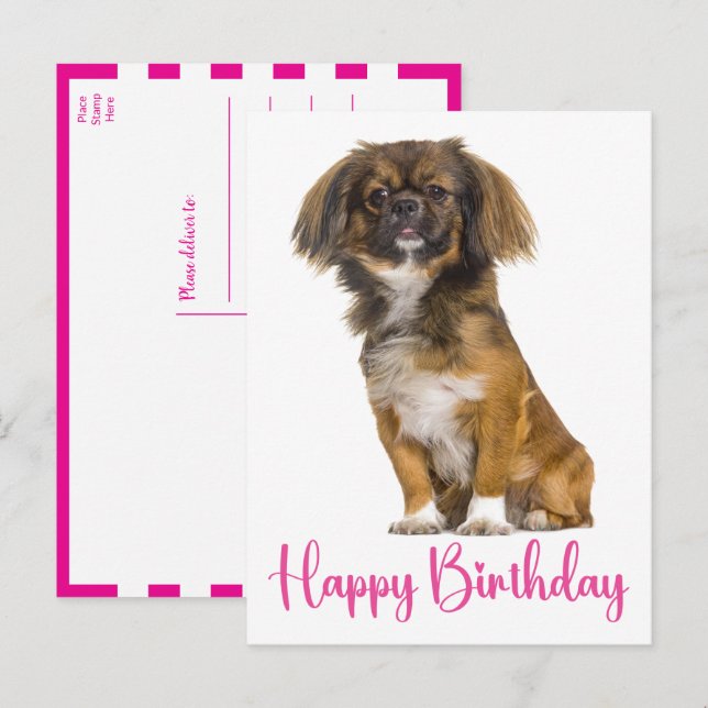 Söt Pekingese Födelsedags Valp Hund Födelsedag Vykort (Fram/baksida)